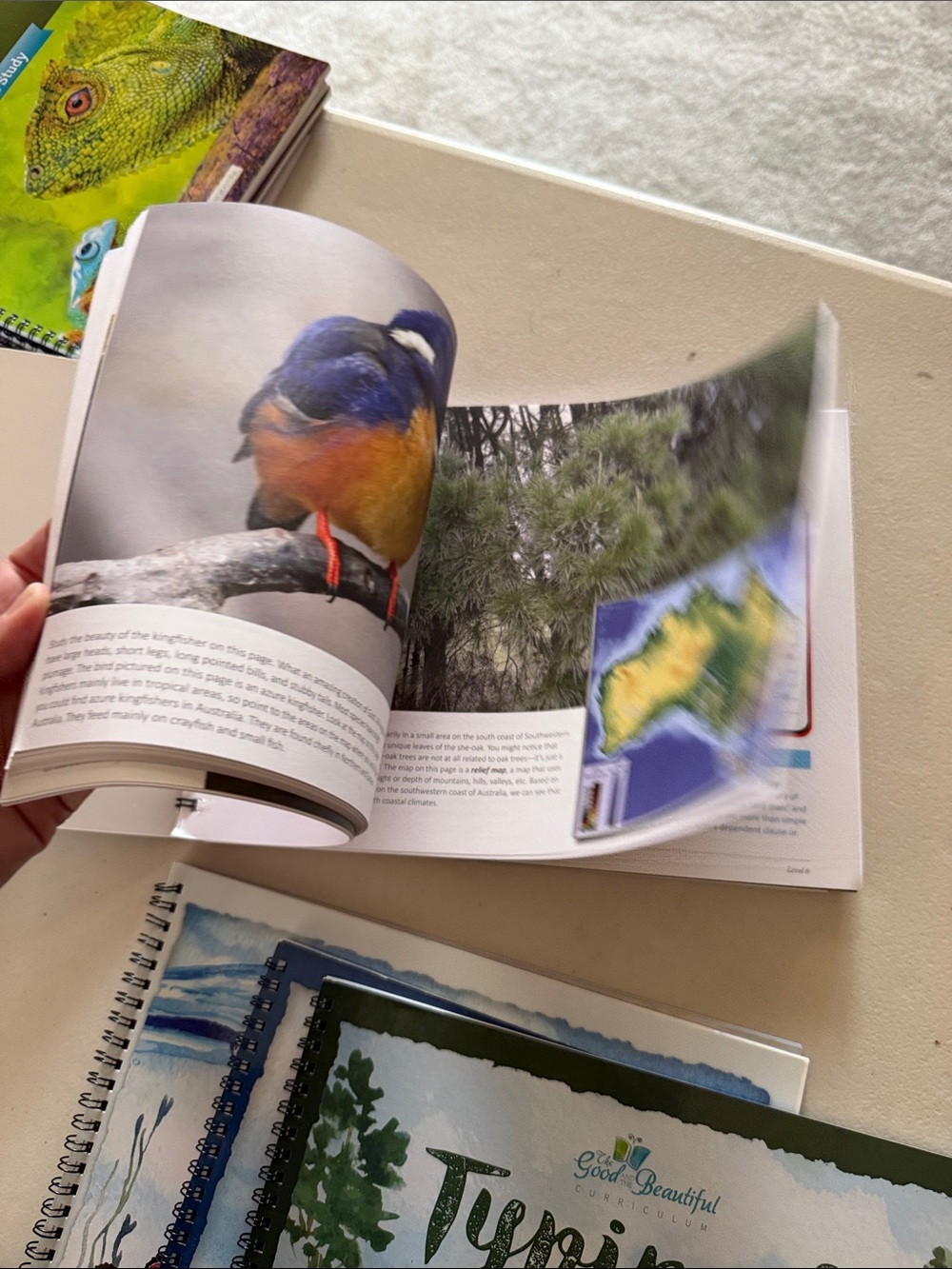 Good & Beautiful Language Arts & Literature Level Six Course Book - Green - Picture 9 of 10